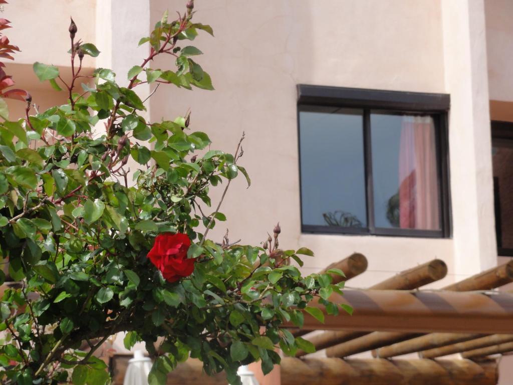 L'hacienda Hotel 3*
